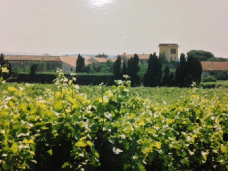 Salle de la Domergue_34500 BEZIERS_16